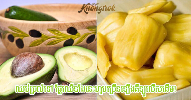 1598265480 783 Thumbnail Width640height480_schema_article