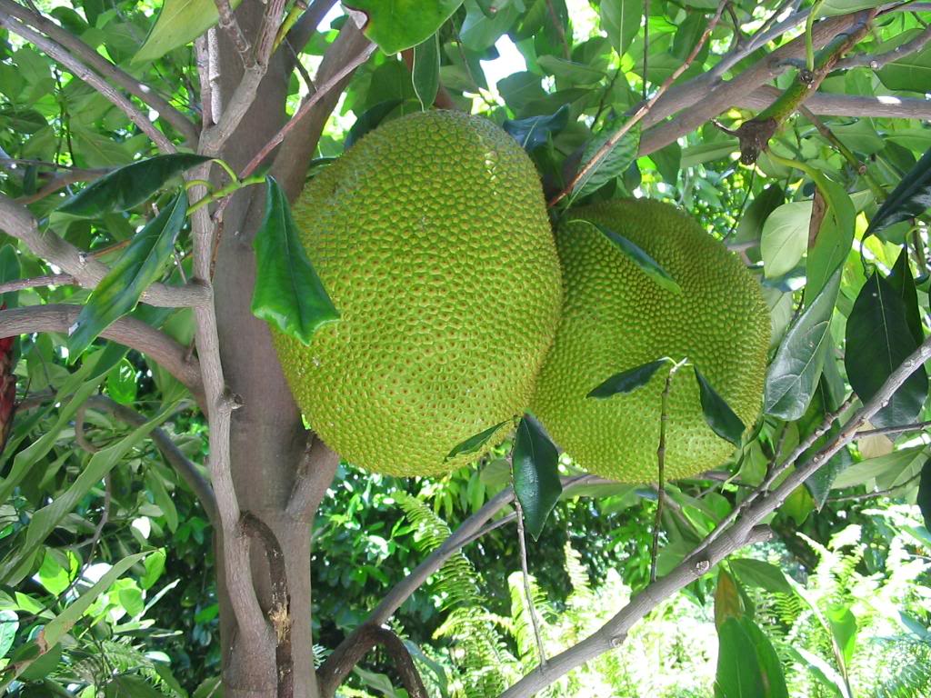 ១