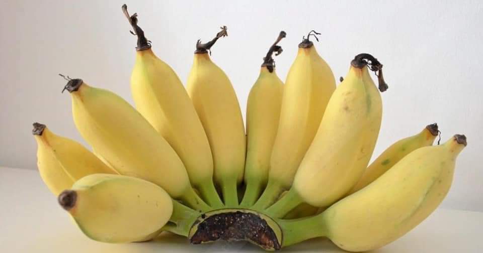 ១