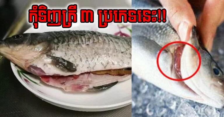 ហងហង